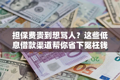 北京担保费贵到想骂人？这些低息借款渠道帮你省下冤枉钱