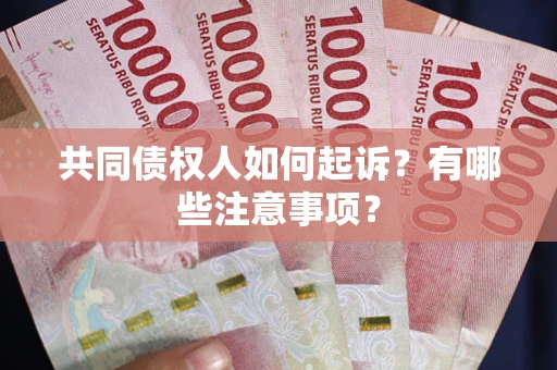 北京共同债权人如何起诉？有哪些注意事项？